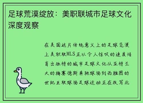 足球荒漠绽放：美职联城市足球文化深度观察
