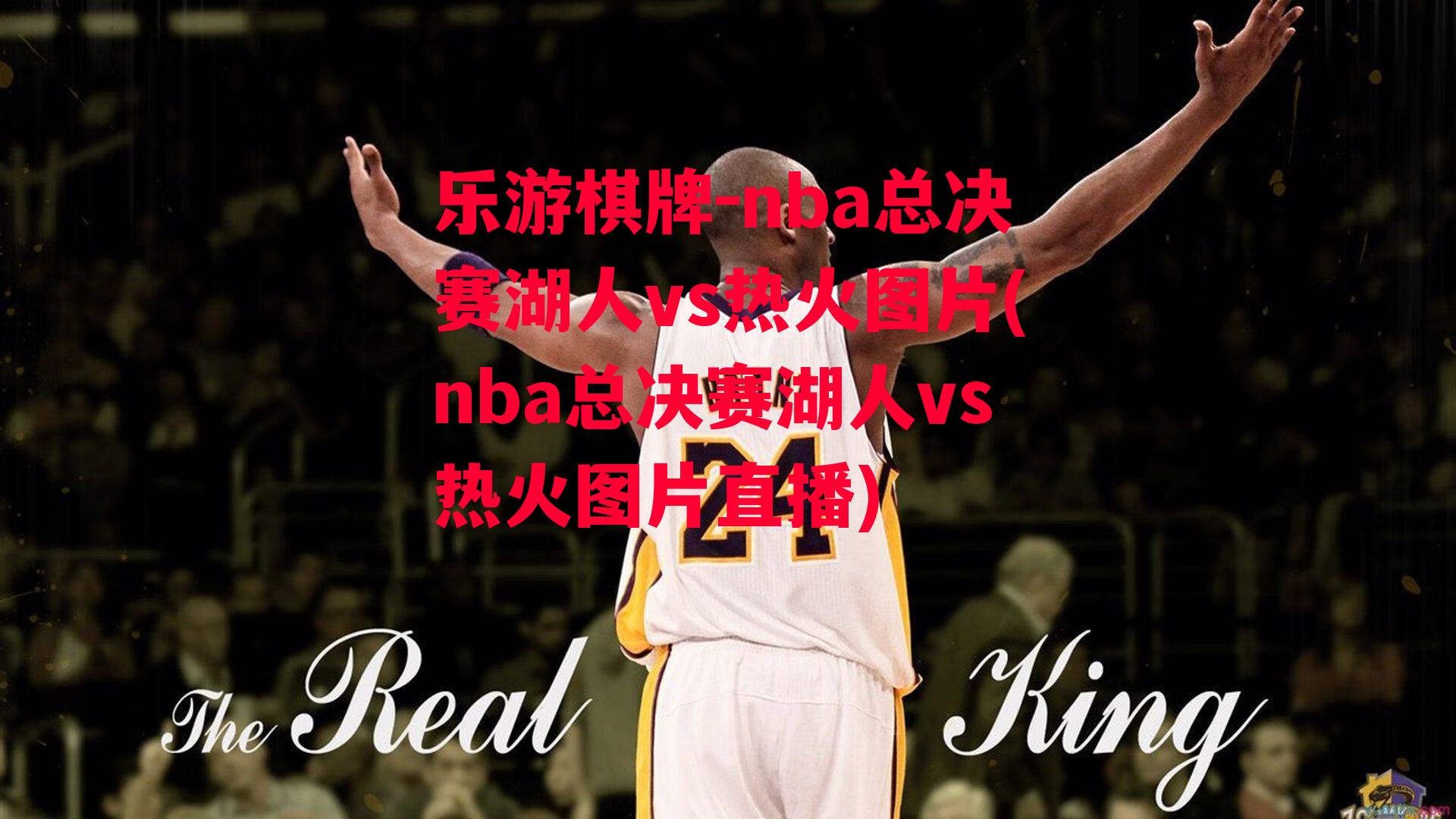 乐游棋牌-nba总决赛湖人vs热火图片(nba总决赛湖人vs热火图片直播)